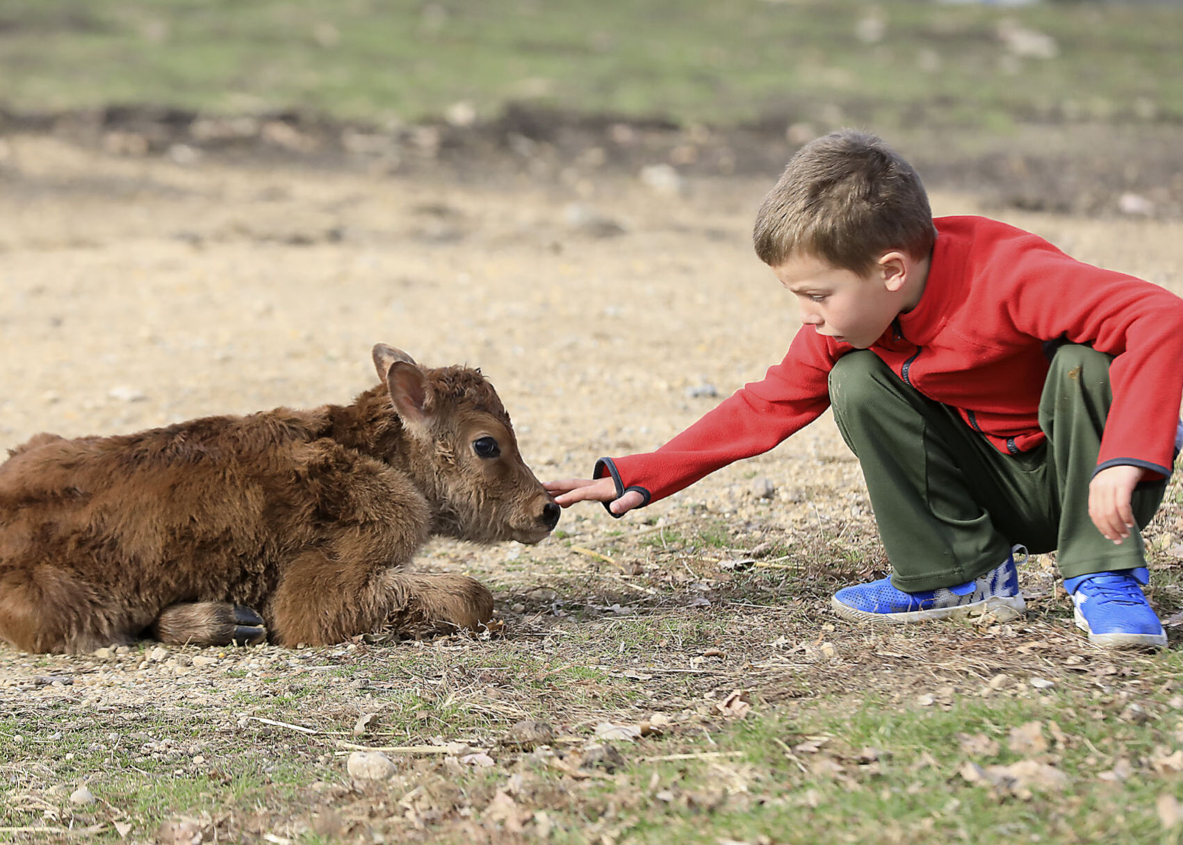 Grazing 11-11192020133506